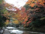 Koyo of Yoro Valley