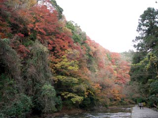 Koyo Japan on Koyo Of Yoro Valley   Mustlovejapan   Video Travel Guide Of Japan