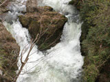 Fushimi Falls