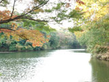 Lake Shinsei