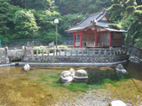 Hell pond of kiyozaemon