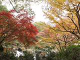 Yokohama Park
