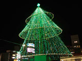 Starlight Yokohama Illumination