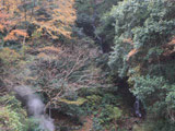 Yugawara Godan Falls