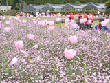 Ofuna Flower Center