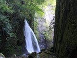 Makime Great Falls