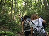 Ikego Mountain Trail