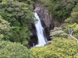 Yakushima Ryujin Falls