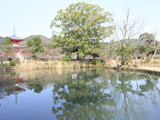 Osawa Pond