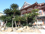 Myokokuji Temple