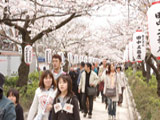 Wakamiya Oji Street