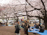 Wadahori Park