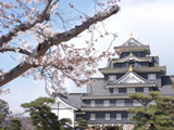 Hanami at Ujo Park