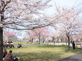 Komatsugawa Park