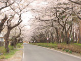 Karasugamori Park