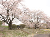 Nagamine Park