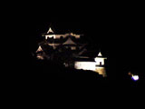 Hikone Castle at night