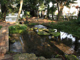 Shirataki Park