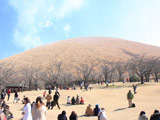 Mt. Omuro