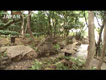 Gotenyama Garden