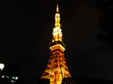 Shiba Park