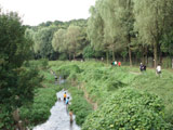 Nogawa Park