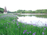 Ukima Park