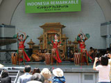 Indonesia Festival 2010