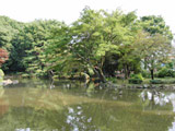 Arisugawa Memorial Park 