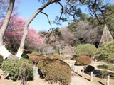 Shin-Edogawa Park