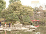 Yasuda Garden