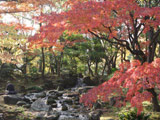 Kokkai Zentei Japanese Garden