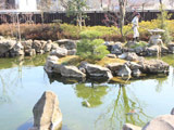 Takao Komagino garden