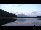Lake Shoji Summarized
