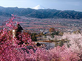 Fuefukigawa Fruits Park