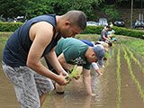 Masutomi Rice Planting