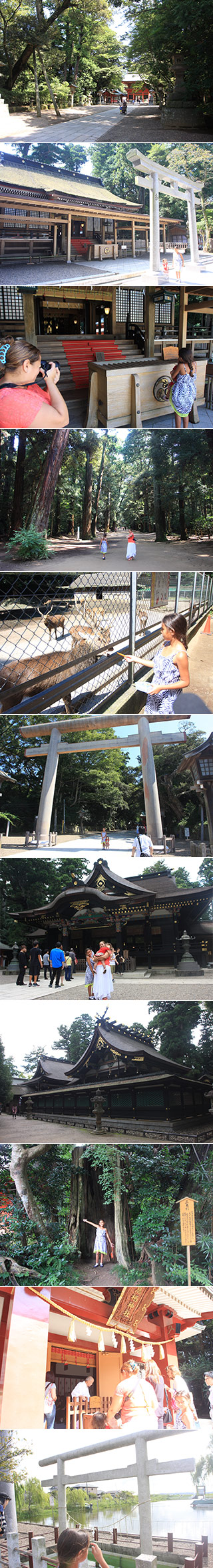 Three Eastern Shrines Shiki Tour