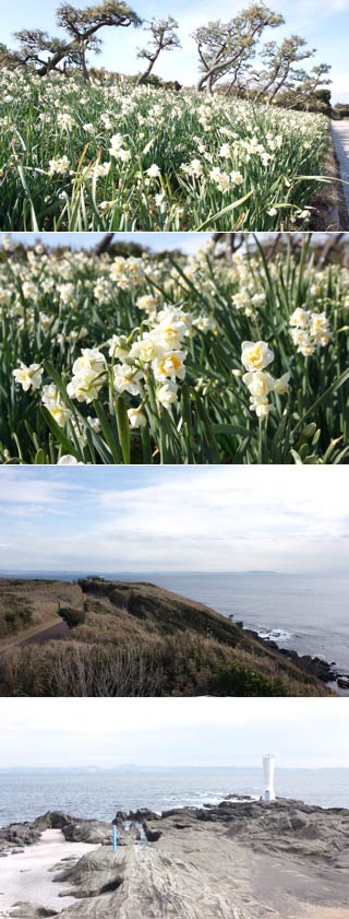 Jogashima Park