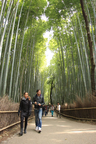 Bamboo Grove Walk