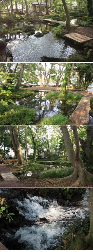 Shirataki Park