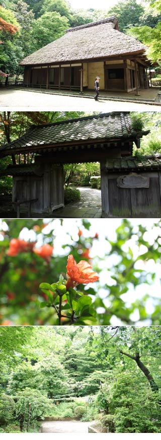Manyo Flower Garden