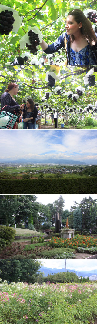 Shiki Bus Grape Picking & Onsen Tour